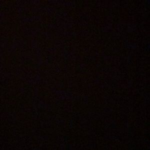 Meet your Posher, Max